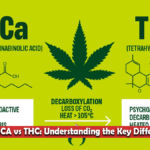 THCA vs THC
