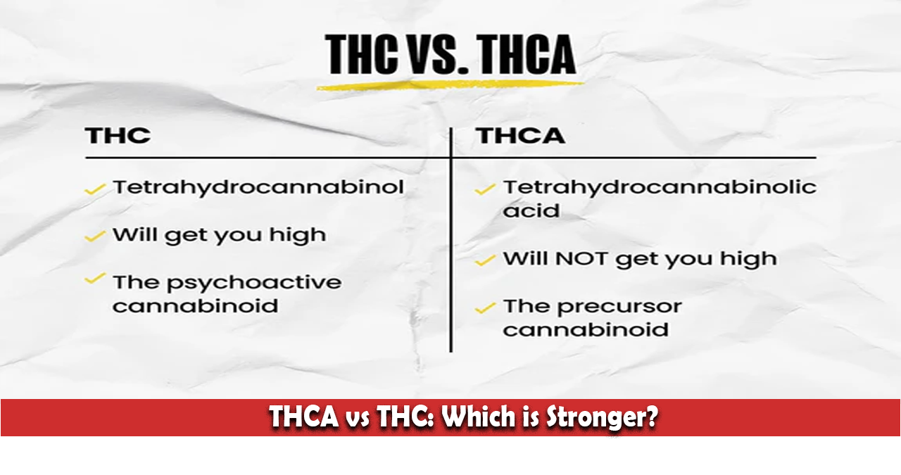 THCA vs THC: Which is Stronger?