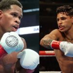 arcia vs Haney